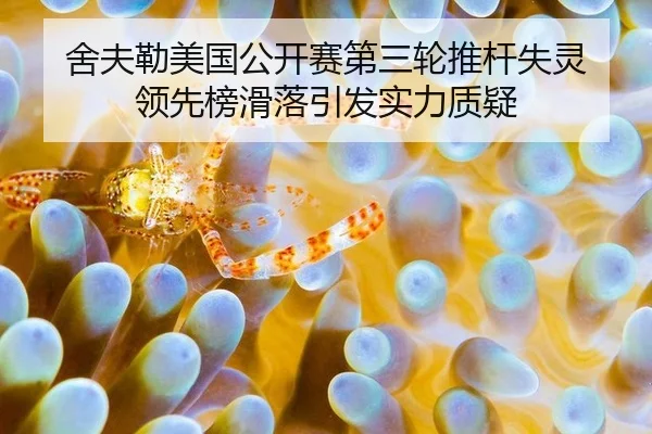 舍夫勒美国公开赛第三轮推杆失灵 领先榜滑落引发实力质疑