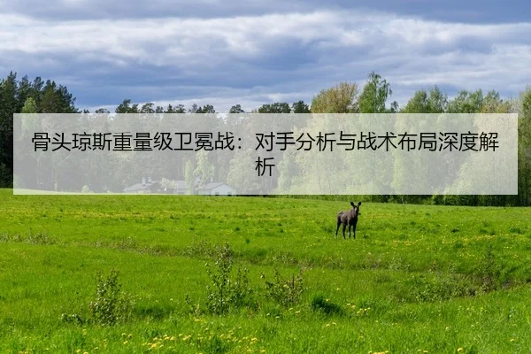 骨头琼斯重量级卫冕战：对手分析与战术布局深度解析
