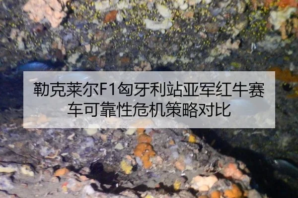 勒克莱尔F1匈牙利站亚军红牛赛车可靠性危机策略对比